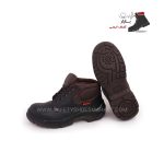 پوتین اکولوژی اصل میلان - Image 2