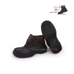 پوتین ایمنی آکسفورد - تصویر 2