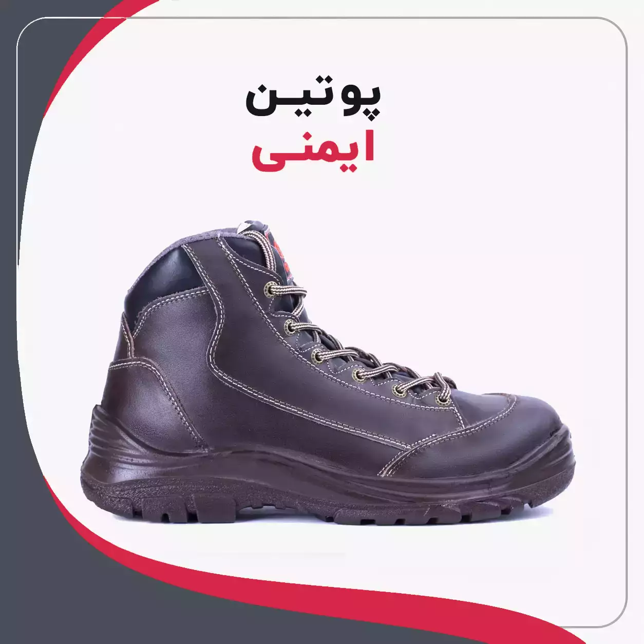 پوتین ایمنی