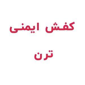 کفش ایمنی ترن